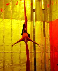 silks